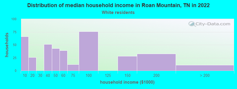 Distribution of median household income in Roan Mountain, TN in 2022