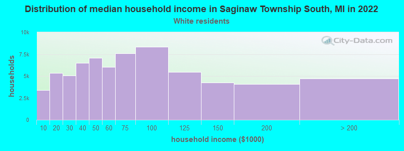 Distribution of median household income in Saginaw Township South, MI in 2022