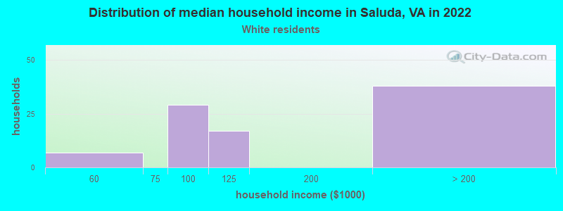 Distribution of median household income in Saluda, VA in 2022