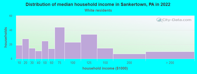 Distribution of median household income in Sankertown, PA in 2022