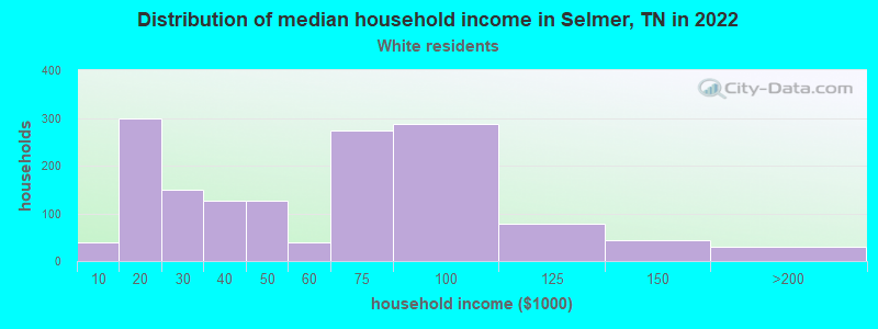 Distribution of median household income in Selmer, TN in 2022