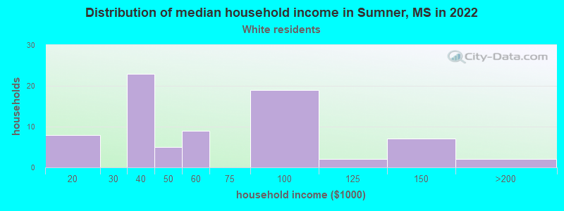 Distribution of median household income in Sumner, MS in 2022