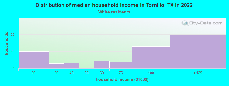 Distribution of median household income in Tornillo, TX in 2022