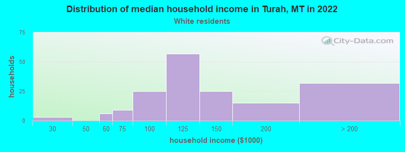 Distribution of median household income in Turah, MT in 2022