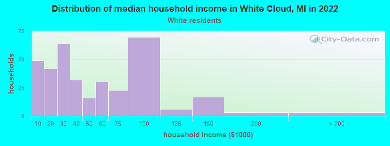 Distribution of median household income in White Cloud, MI in 2022