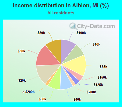 Income distribution in Albion, MI (%)