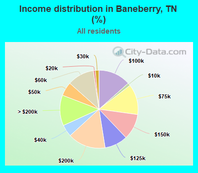 Income distribution in Baneberry, TN (%)