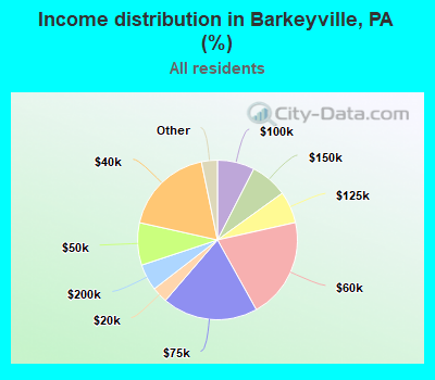 Income distribution in Barkeyville, PA (%)