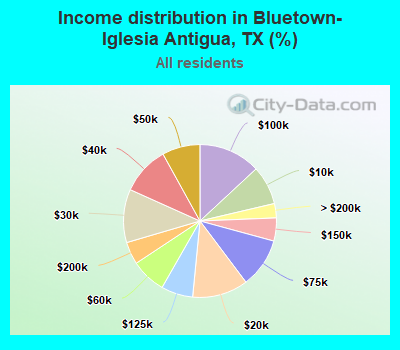 Income distribution in Bluetown-Iglesia Antigua, TX (%)