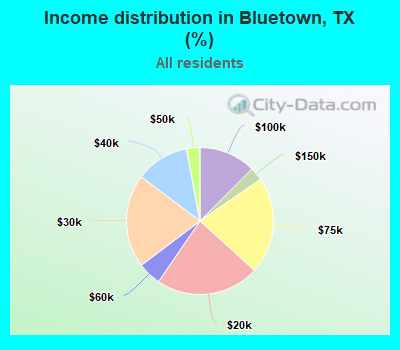Income distribution in Bluetown, TX (%)