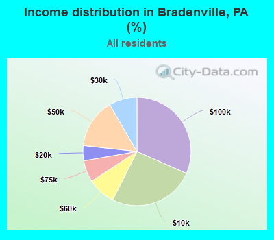 Income distribution in Bradenville, PA (%)