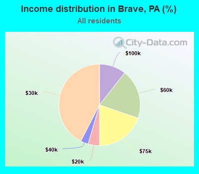Income distribution in Brave, PA (%)