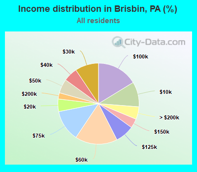 Income distribution in Brisbin, PA (%)