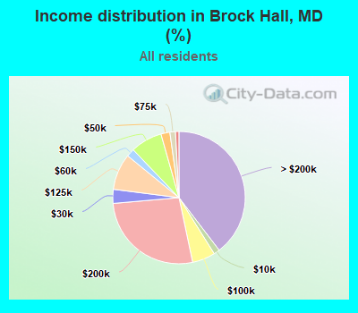 Income distribution in Brock Hall, MD (%)