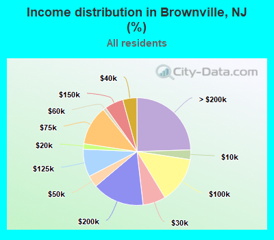 Income distribution in Brownville, NJ (%)
