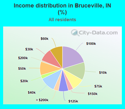 Income distribution in Bruceville, IN (%)