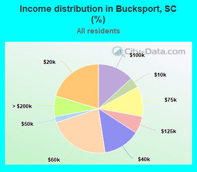 Income distribution in Bucksport, SC (%)