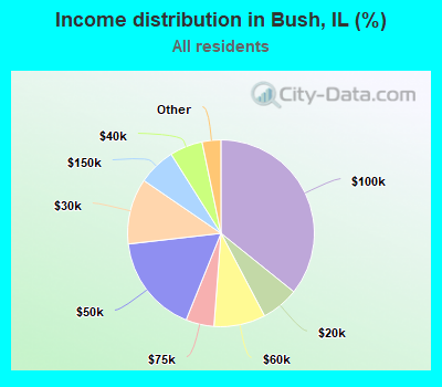 Income distribution in Bush, IL (%)