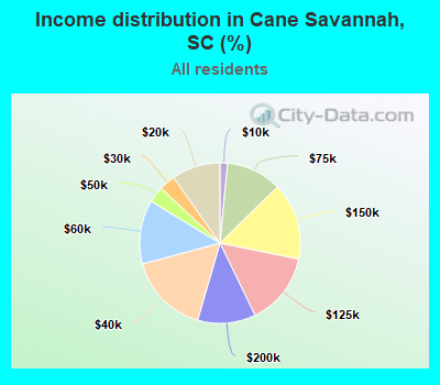 Income distribution in Cane Savannah, SC (%)