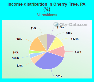 Income distribution in Cherry Tree, PA (%)