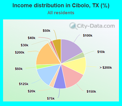 Income distribution in Cibolo, TX (%)