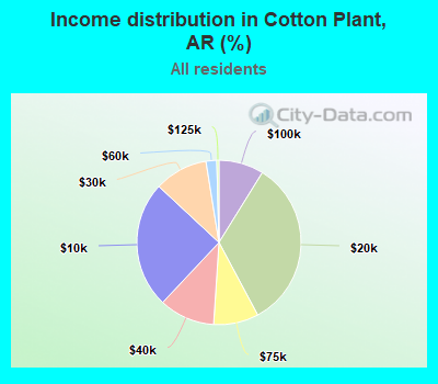 Income distribution in Cotton Plant, AR (%)