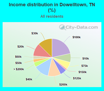 Income distribution in Dowelltown, TN (%)