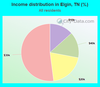 Income distribution in Elgin, TN (%)