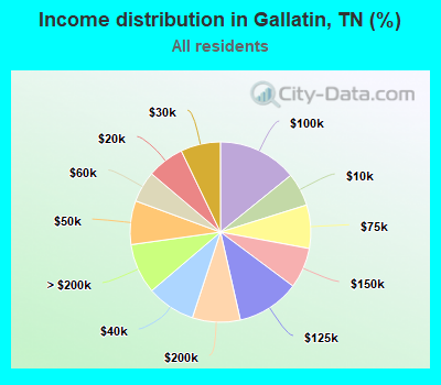 Income distribution in Gallatin, TN (%)