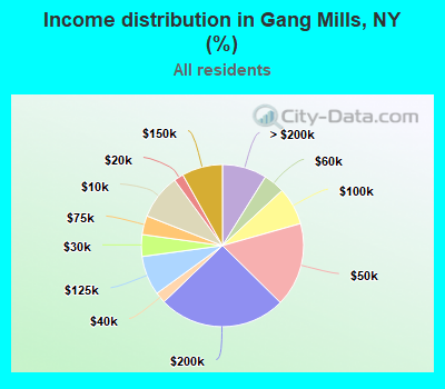 Income distribution in Gang Mills, NY (%)