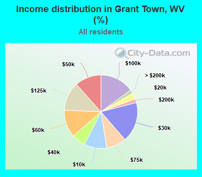 Income distribution in Grant Town, WV (%)