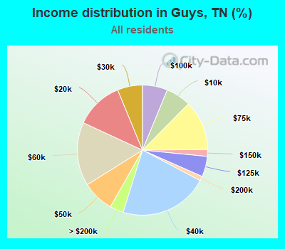 Income distribution in Guys, TN (%)