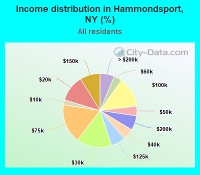 Income distribution in Hammondsport, NY (%)