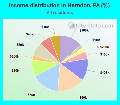 Income distribution in Herndon, PA (%)
