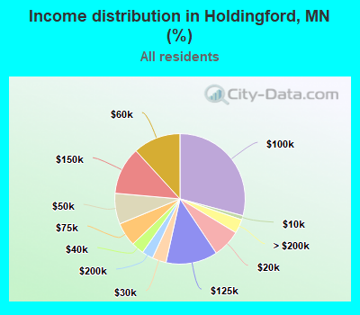 Income distribution in Holdingford, MN (%)