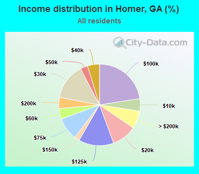 Income distribution in Homer, GA (%)