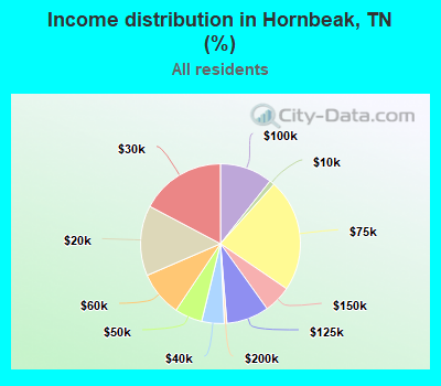 Income distribution in Hornbeak, TN (%)