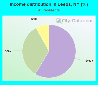 Income distribution in Leeds, NY (%)