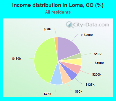 Income distribution in Loma, CO (%)