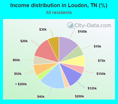 Income distribution in Loudon, TN (%)