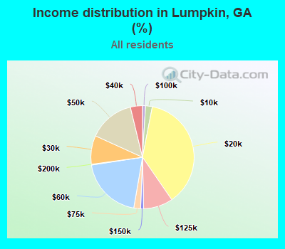Income distribution in Lumpkin, GA (%)
