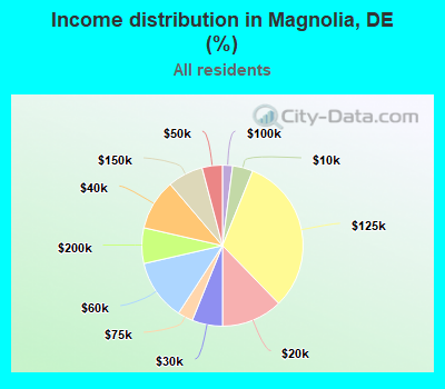 Income distribution in Magnolia, DE (%)