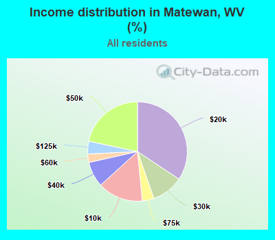 Income distribution in Matewan, WV (%)