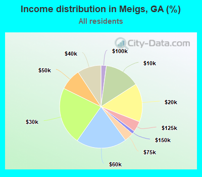 Income distribution in Meigs, GA (%)