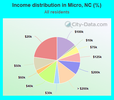 Income distribution in Micro, NC (%)