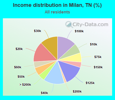 Income distribution in Milan, TN (%)