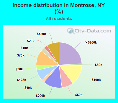 Income distribution in Montrose, NY (%)