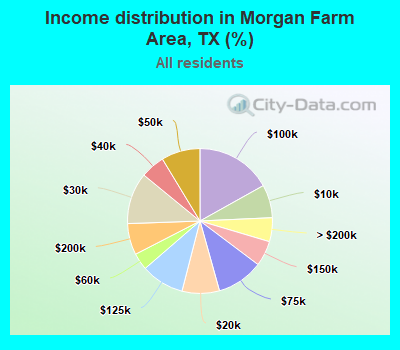 Income distribution in Morgan Farm Area, TX (%)