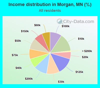 Income distribution in Morgan, MN (%)