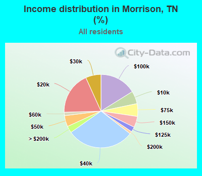 Income distribution in Morrison, TN (%)